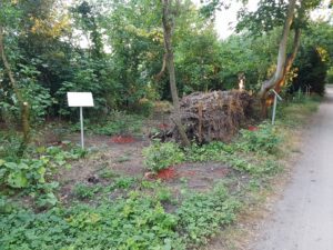 Bild8
